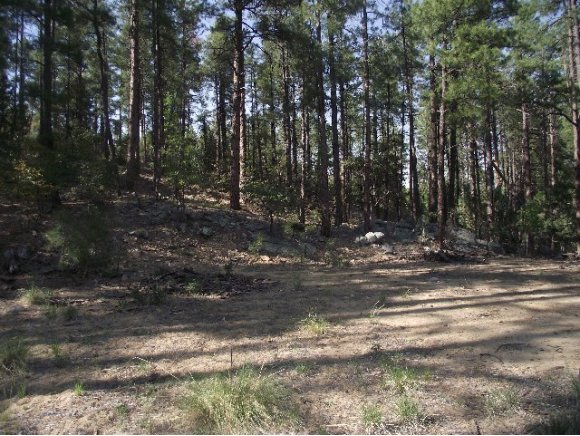 0 South Dahlin Road Prescott, AZ 86303 - Photo 2 of 10 Additional Photo