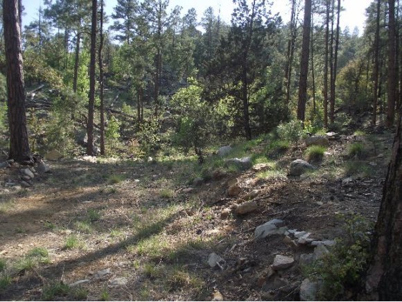 0 South Dahlin Road Prescott, AZ 86303 - Photo 3 of 10 Additional Photo