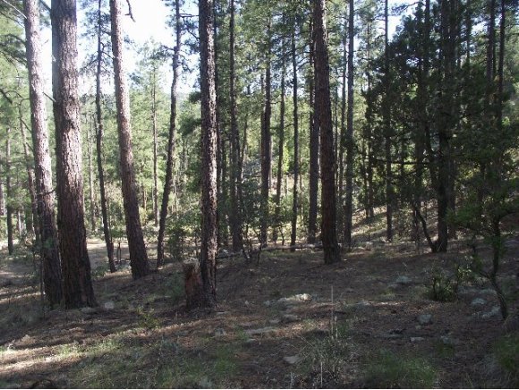 0 South Dahlin Road Prescott, AZ 86303 - Photo 4 of 10 Additional Photo