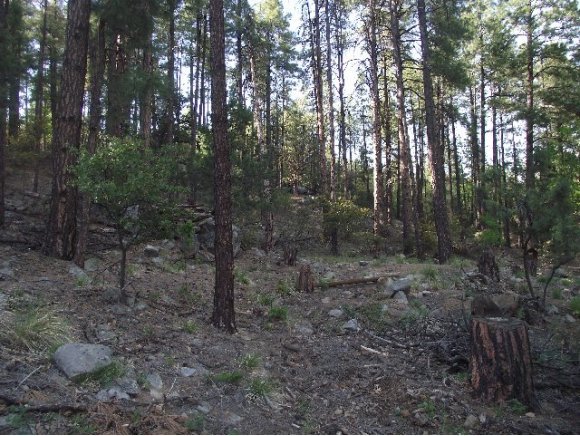 0 South Dahlin Road Prescott, AZ 86303 - Photo 5 of 10 Additional Photo
