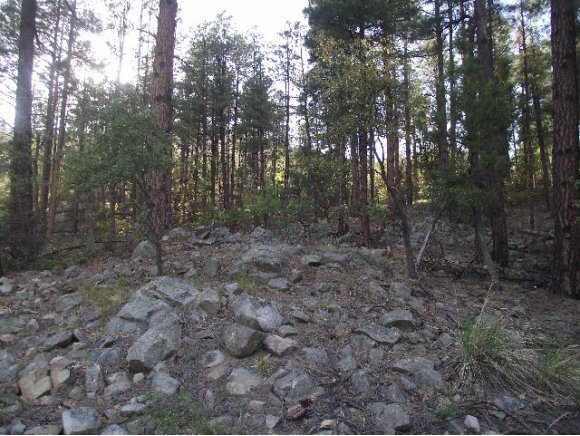 0 South Dahlin Road Prescott, AZ 86303 - Photo 6 of 10 Additional Photo
