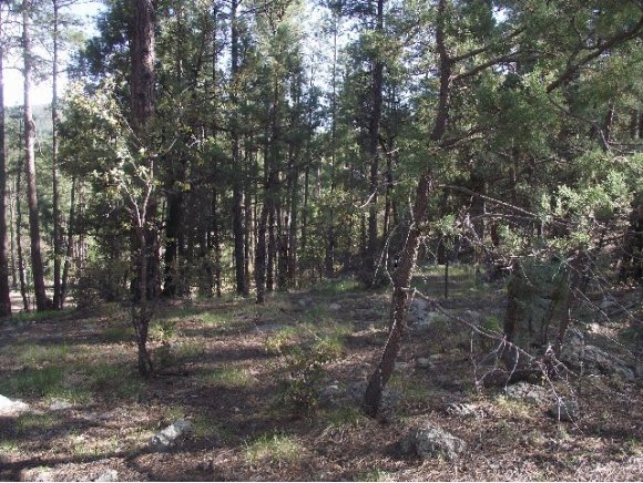 0 South Dahlin Road Prescott, AZ 86303 - Photo 10 of 10 Additional Photo