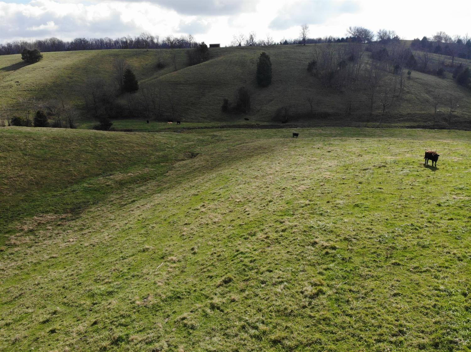 5040 Stepstone Road Mount Sterling, KY 40353 - Photo 27 of 51 Photo 27