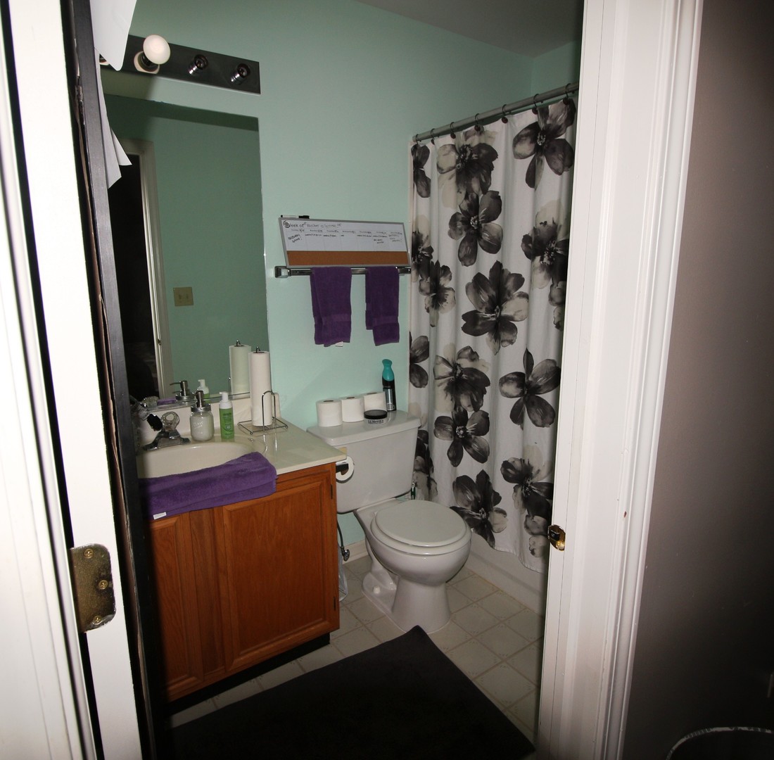 1334 Grandview Court Algonquin, IL 60102 - Photo 15 of 21 a bathroom with a sink toilet and shower
