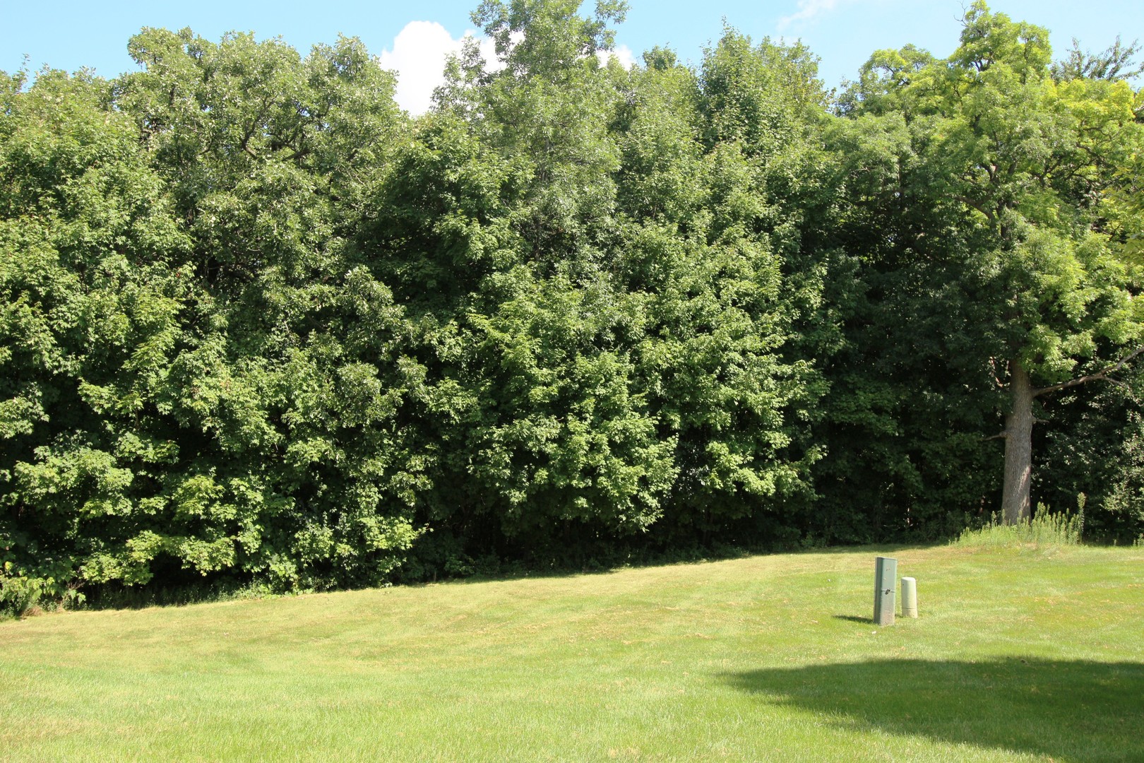 1334 Grandview Court Algonquin, IL 60102 - Photo 20 of 21 a view of yard with swimming pool and trees