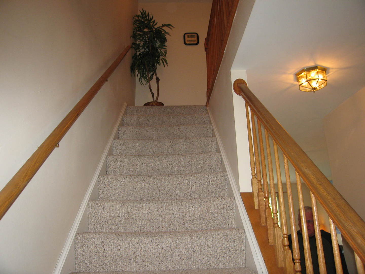 1334 Grandview Court Algonquin, IL 60102 - Photo 10 of 21 a view of entryway