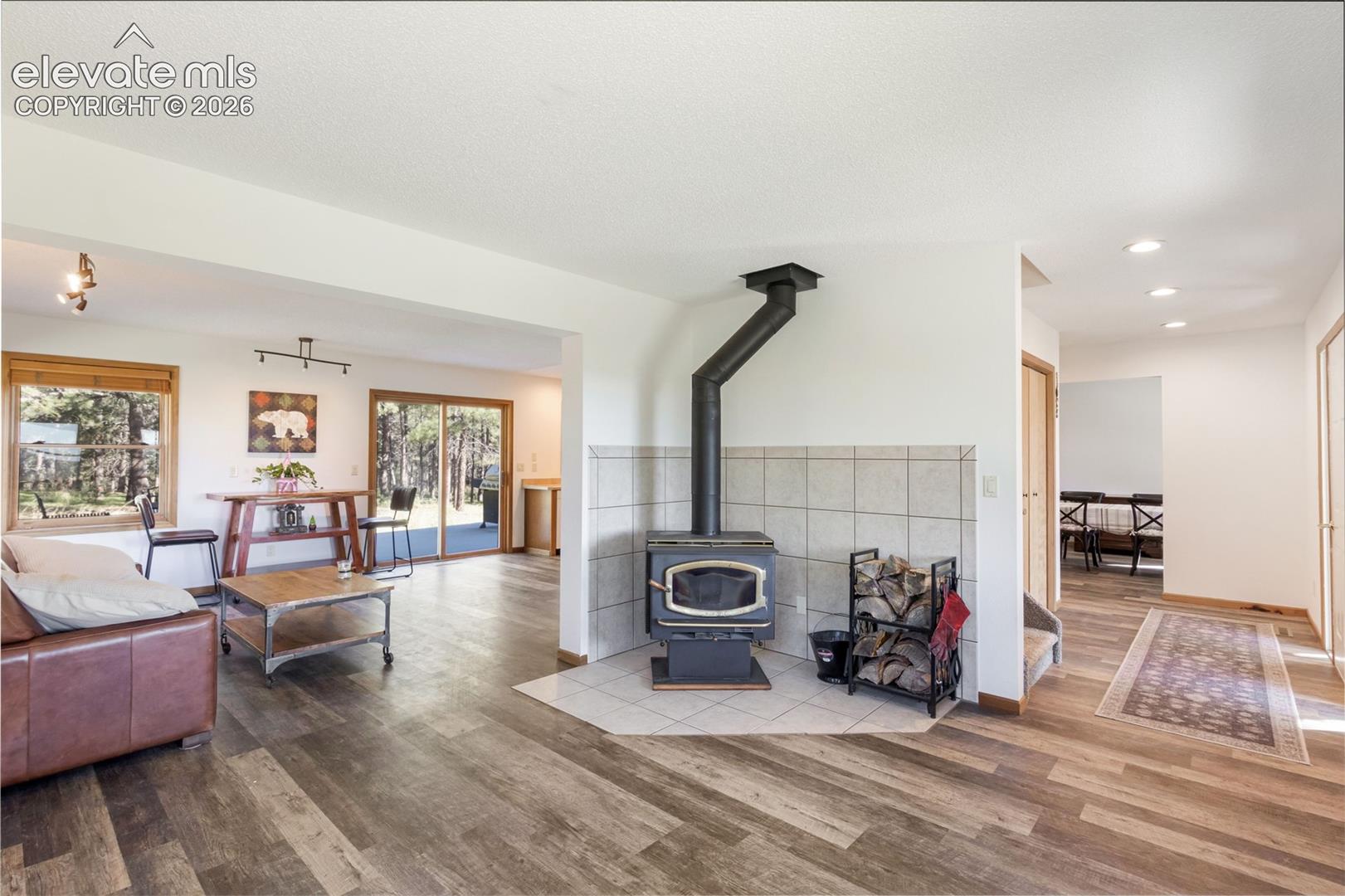 18673 North Elbert Road Elbert, CO 80106 - Photo 7 of 29 Family/living