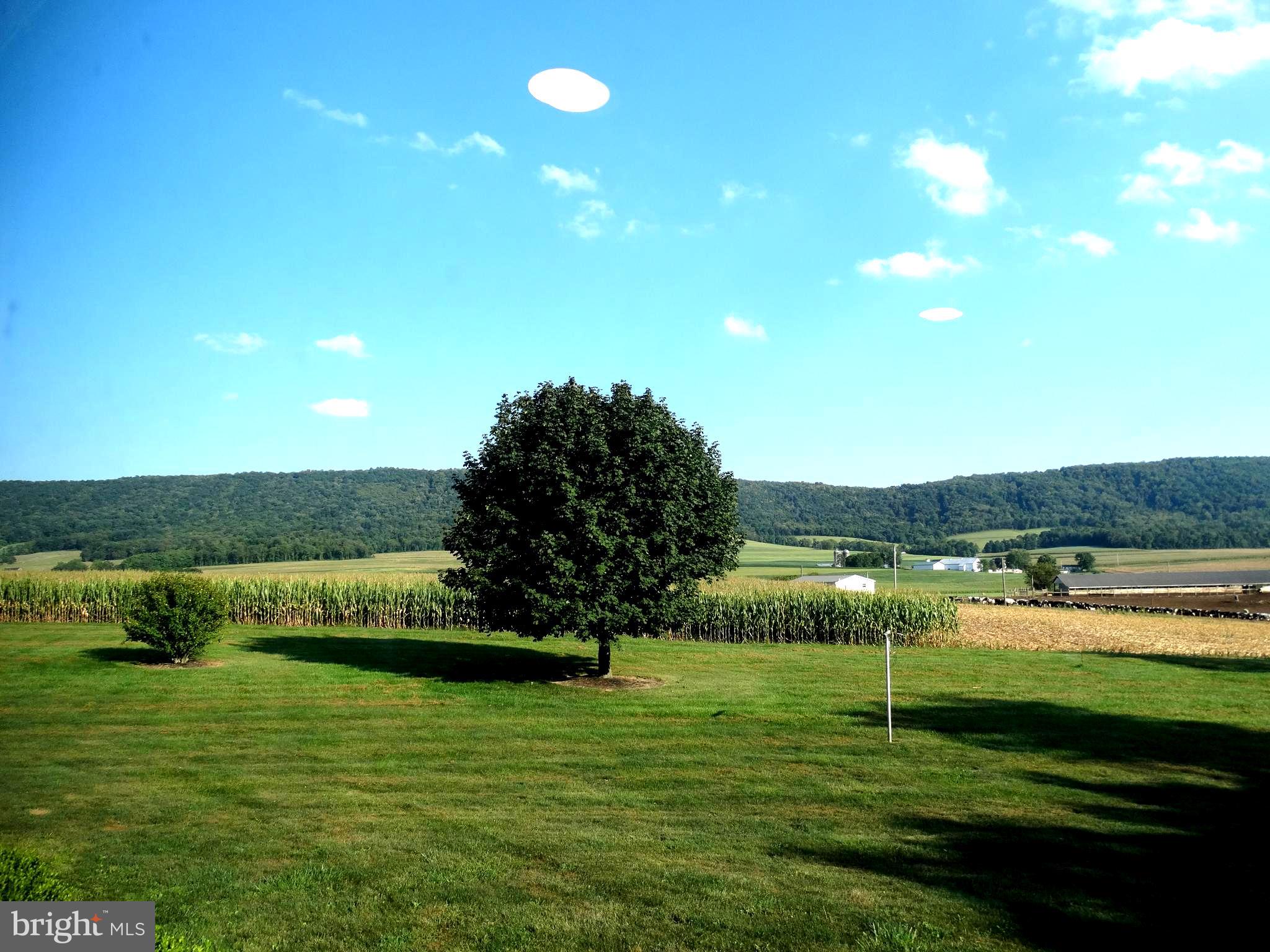 18324 Path Valley Road Dry Run, PA 17220 - Photo 4 of 42