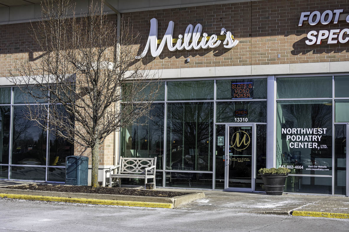 10006 Edgebrook Lane Huntley, IL 60142 - Photo 44 of 59