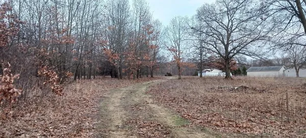 $33,000 | 87573 County Road 668, Decatur, MI 49045