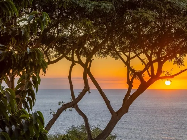 a view of tree in front of house
