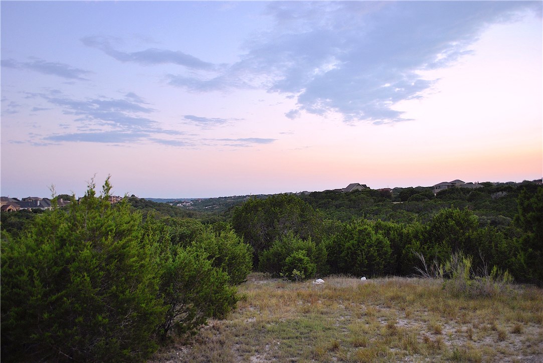 808 Mission Hills Road Leander, TX 78641 - Photo 1 of 1 View Southwest