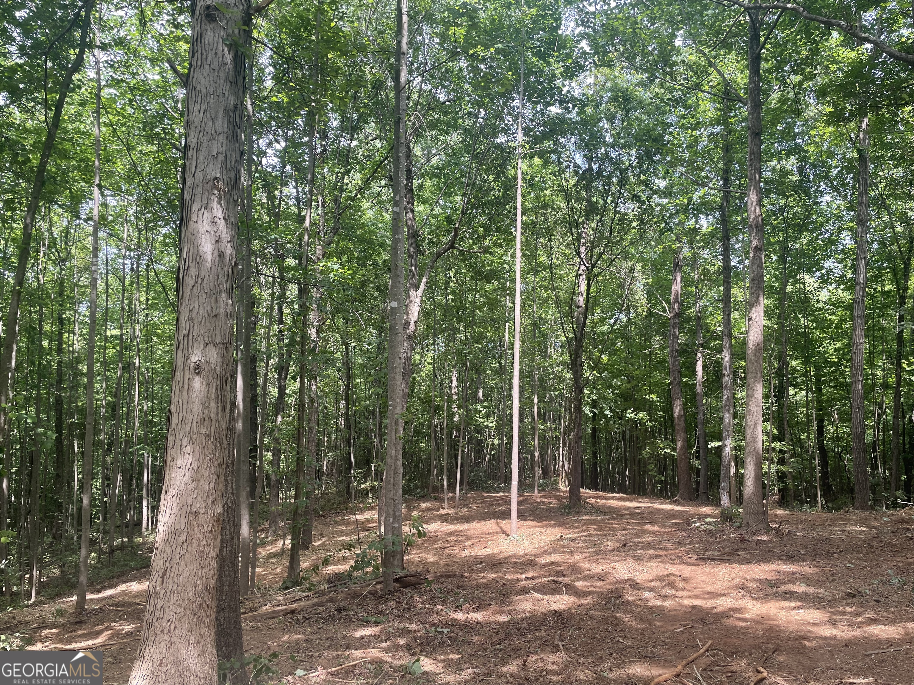 0 Kesler Carnesville, GA 30521 - Photo 5 of 14