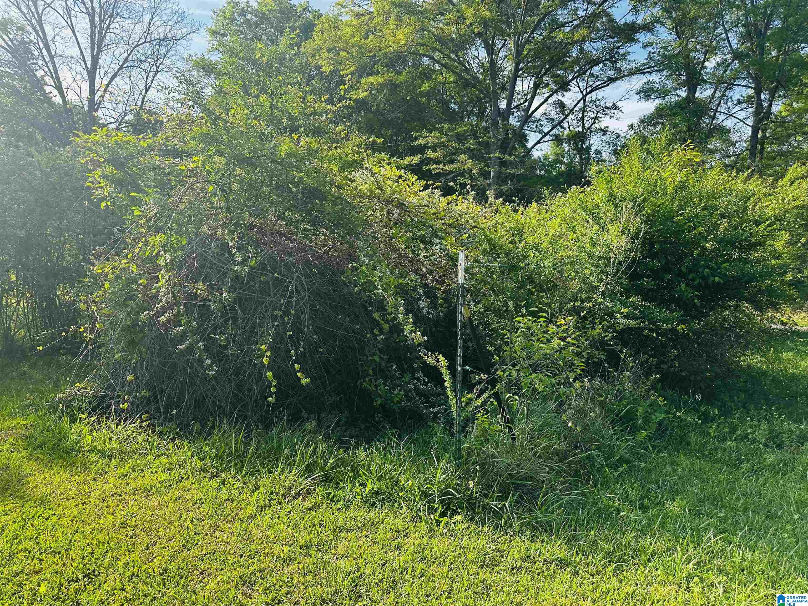 355 Knowles Avenue Lineville, AL 36266 - Photo 50 of 54
