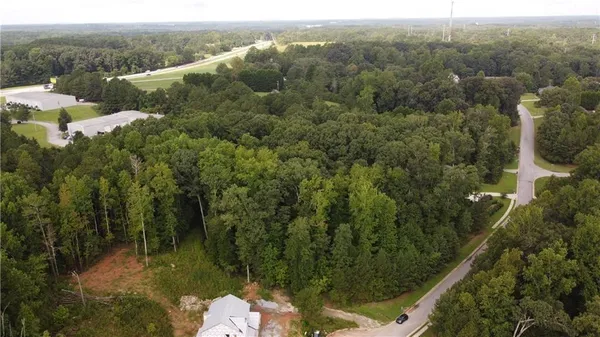 a picture of a window with a tree