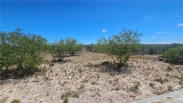 a view of a yard with a tree