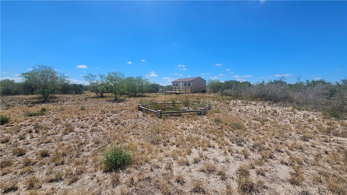0 Tract 59 Benavides, TX 78341 - Photo 15 of 32 a view of a yard with a tree