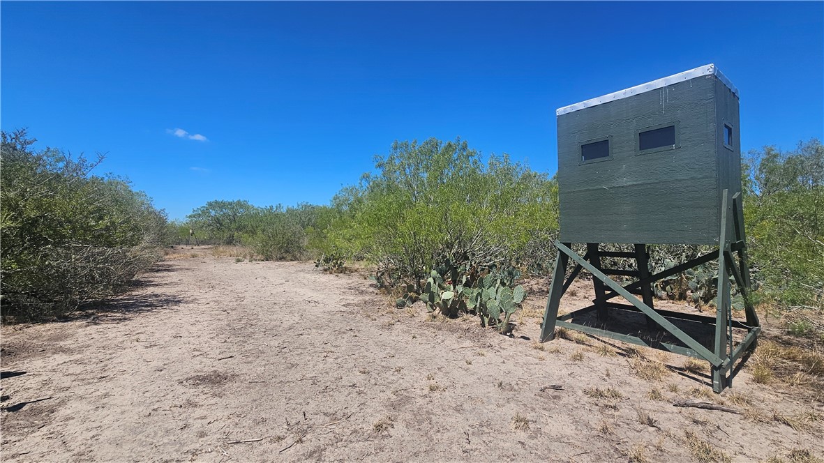 0 Tract 59 Benavides, TX 78341 - Photo 20 of 32 a view of a backyard