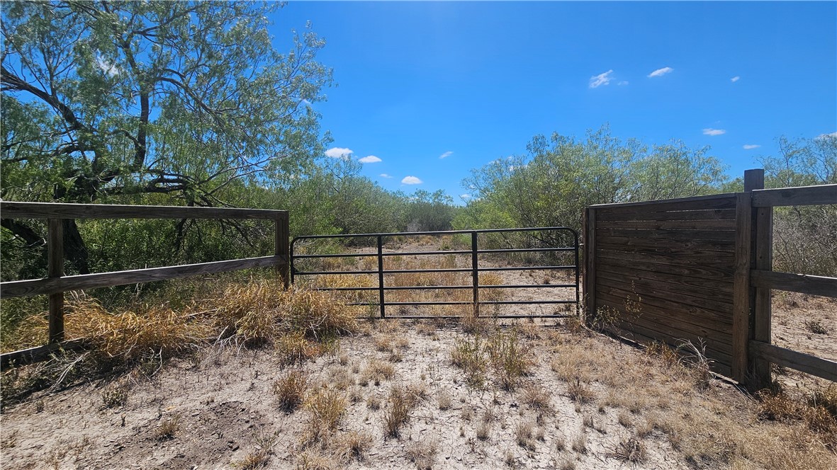 0 Tract 59 Benavides, TX 78341 - Photo 2 of 32