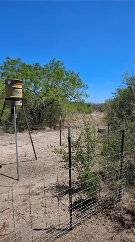 a view of a yard with plants and trees