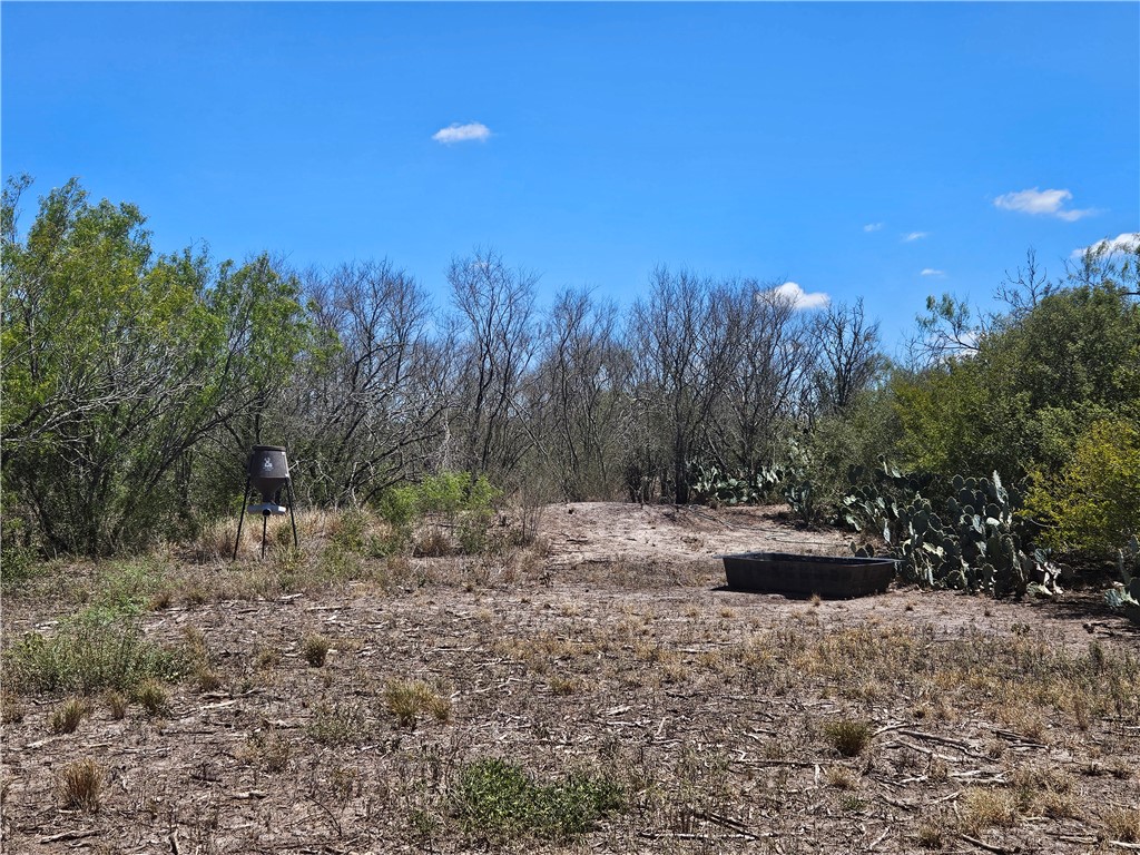 0 Tract 59 Benavides, TX 78341 - Photo 26 of 32