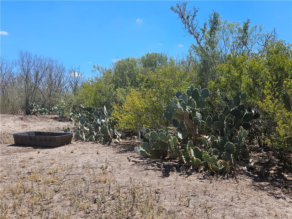 0 Tract 59 Benavides, TX 78341 - Photo 27 of 32 a view of a backyard with trees