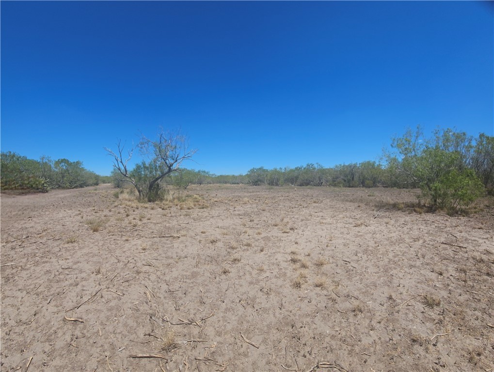 0 Tract 59 Benavides, TX 78341 - Photo 30 of 32 a view of a field with trees in background