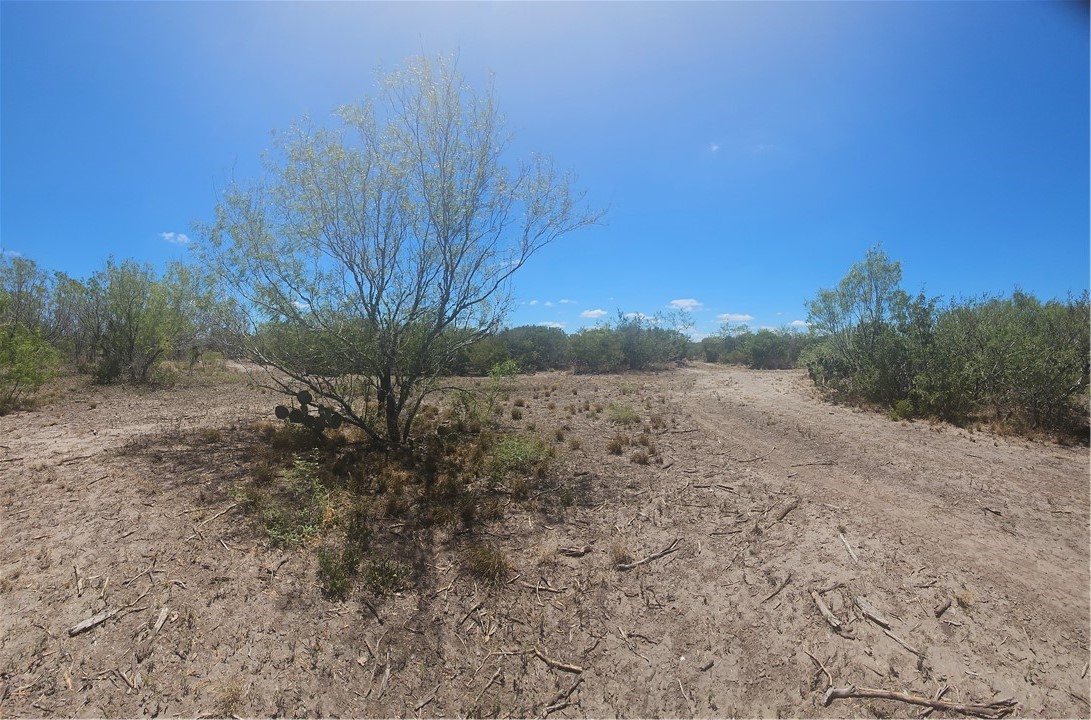 0 Tract 59 Benavides, TX 78341 - Photo 31 of 32 a view of a dry yard with trees in the background