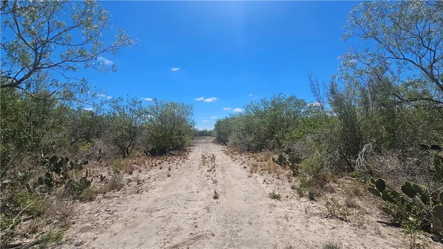 a view of dirt field with trees in background