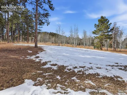 $725,000 | 1309 Stone Ridge Drive, Woodland Park, CO 80863