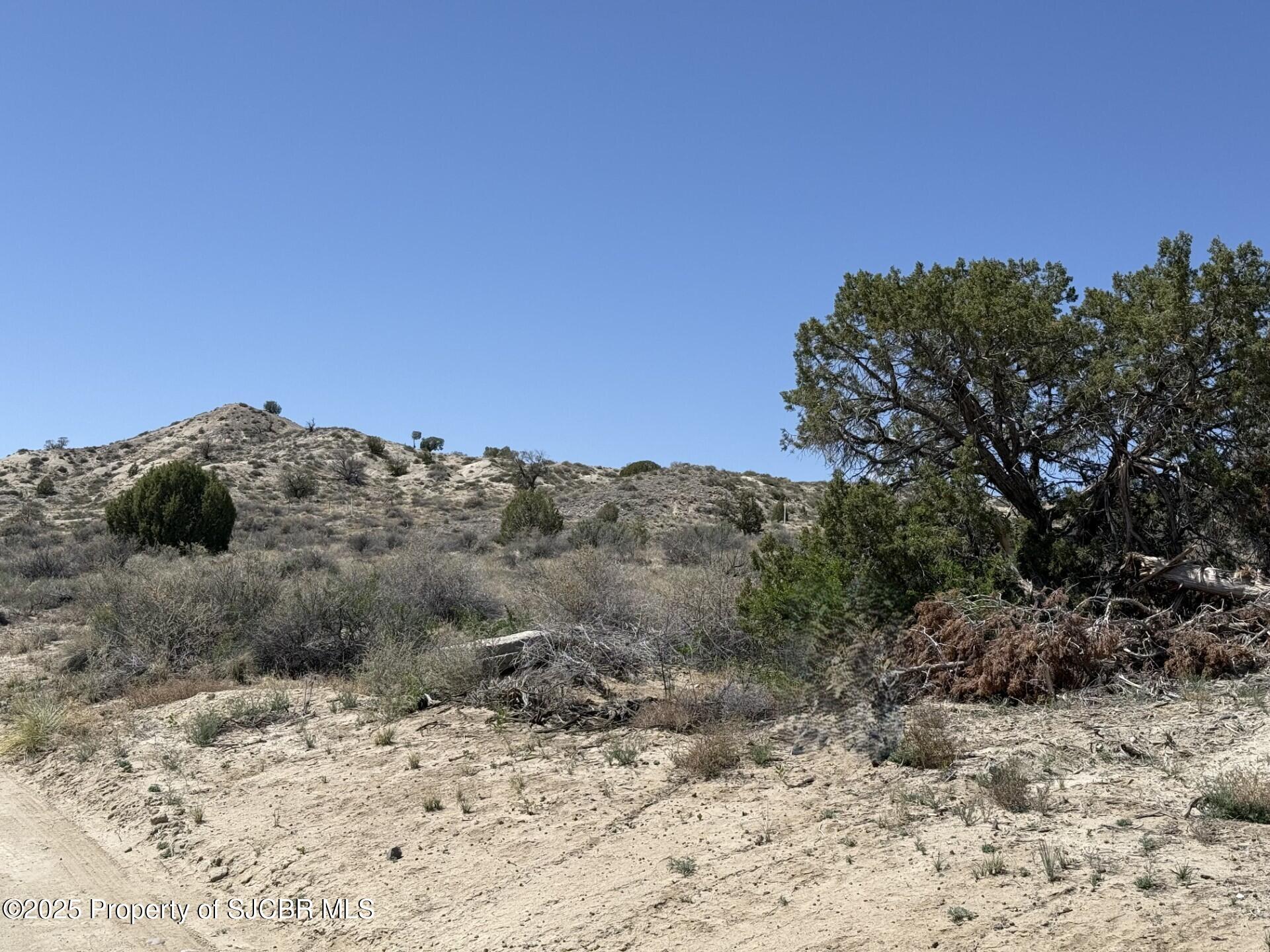 Xx Xx Cemetery Road Bloomfield, NM 87413 - Photo 4 of 7 Gallery Image 4