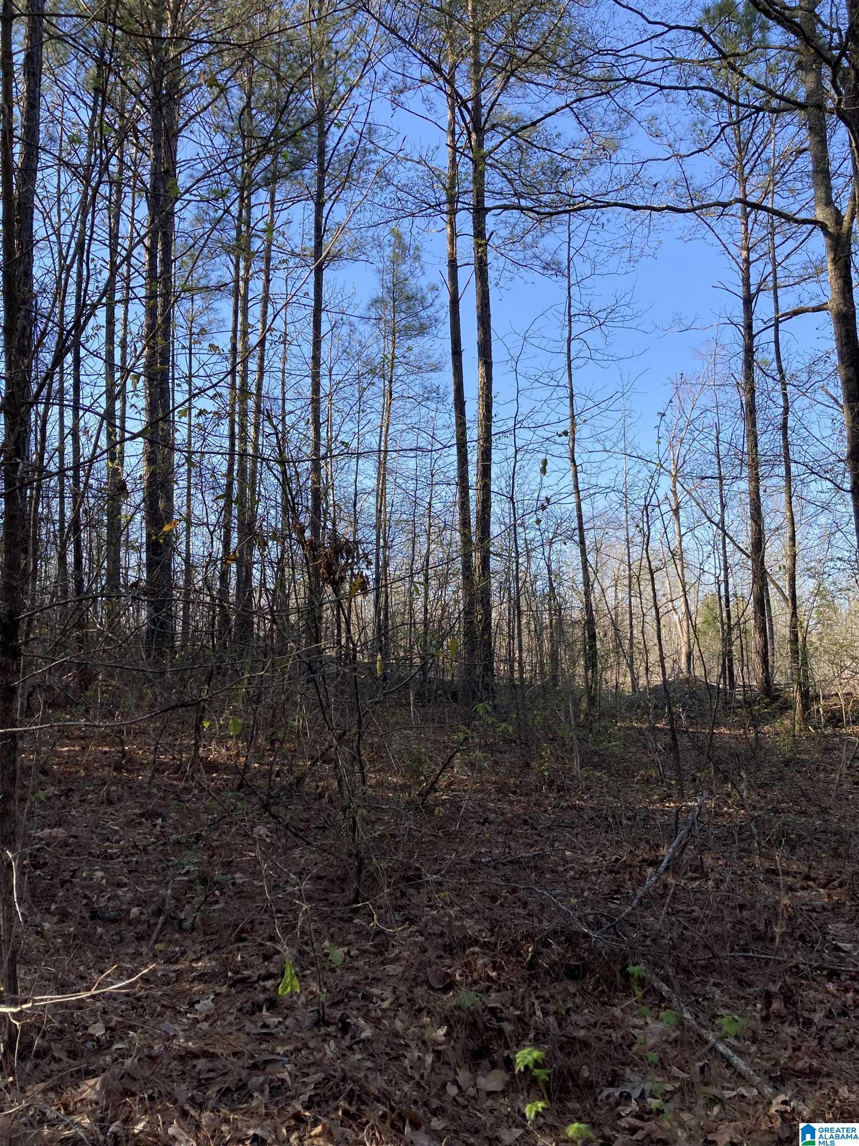 0 Jackson Trace Road, Unit 4 1 Talladega, AL 35160 - Photo 4 of 27