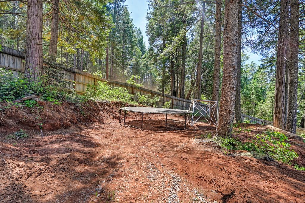 1050 Moody Ridge Road Alta, CA 95701 - Photo 49 of 77