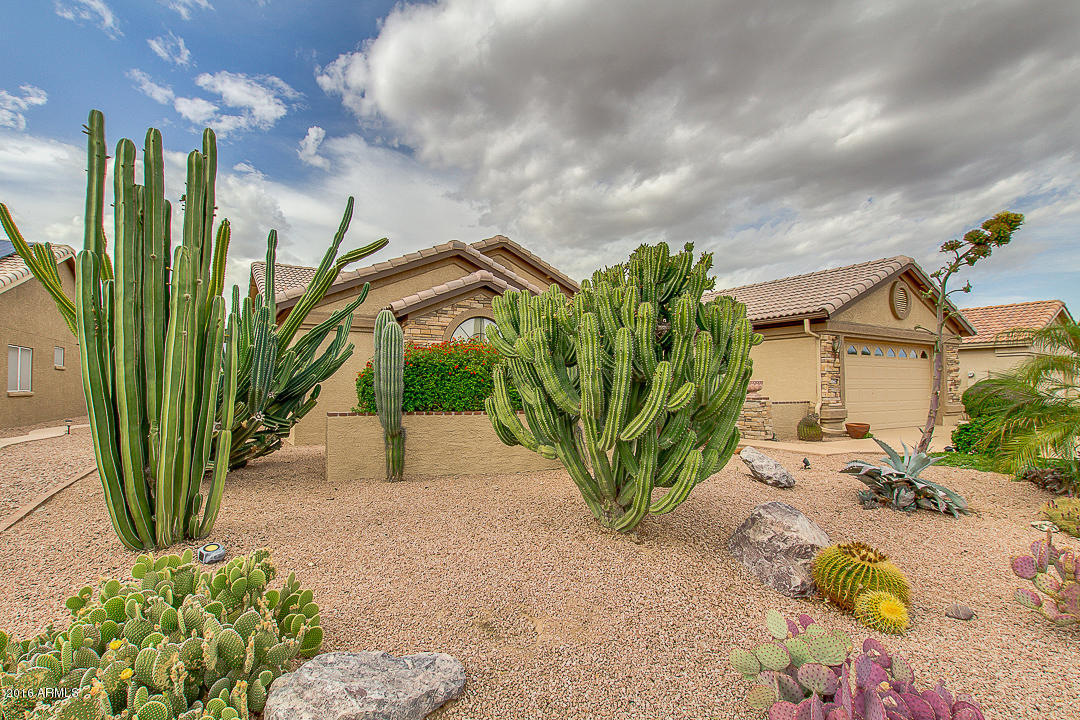15724 Piccadilly Road Goodyear, AZ 85395 - Photo 2 of 39 02-Piccadilly