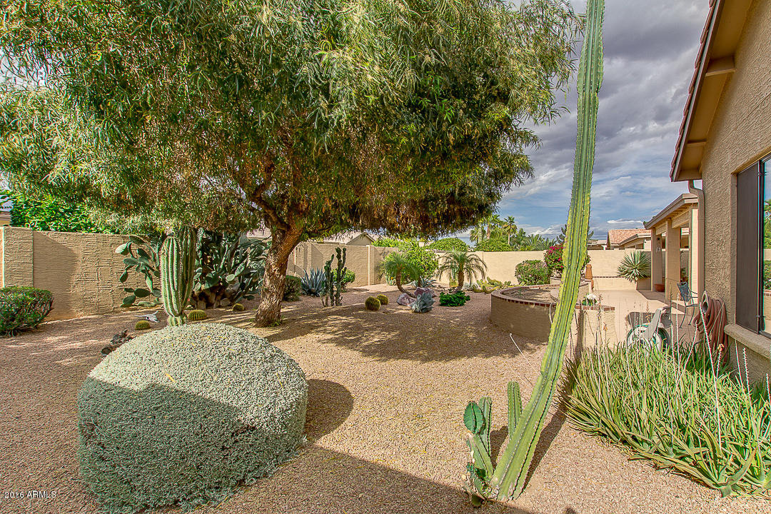 15724 Piccadilly Road Goodyear, AZ 85395 - Photo 36 of 39 39-Piccadilly