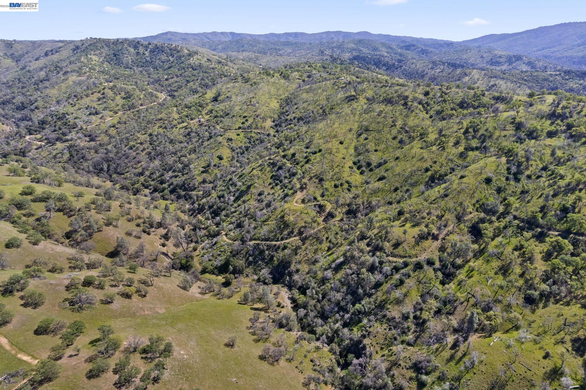 18188 West Corral Hollow Road Tracy, CA 95377 - Photo 32 of 58 a view of a forest with mountains in the background