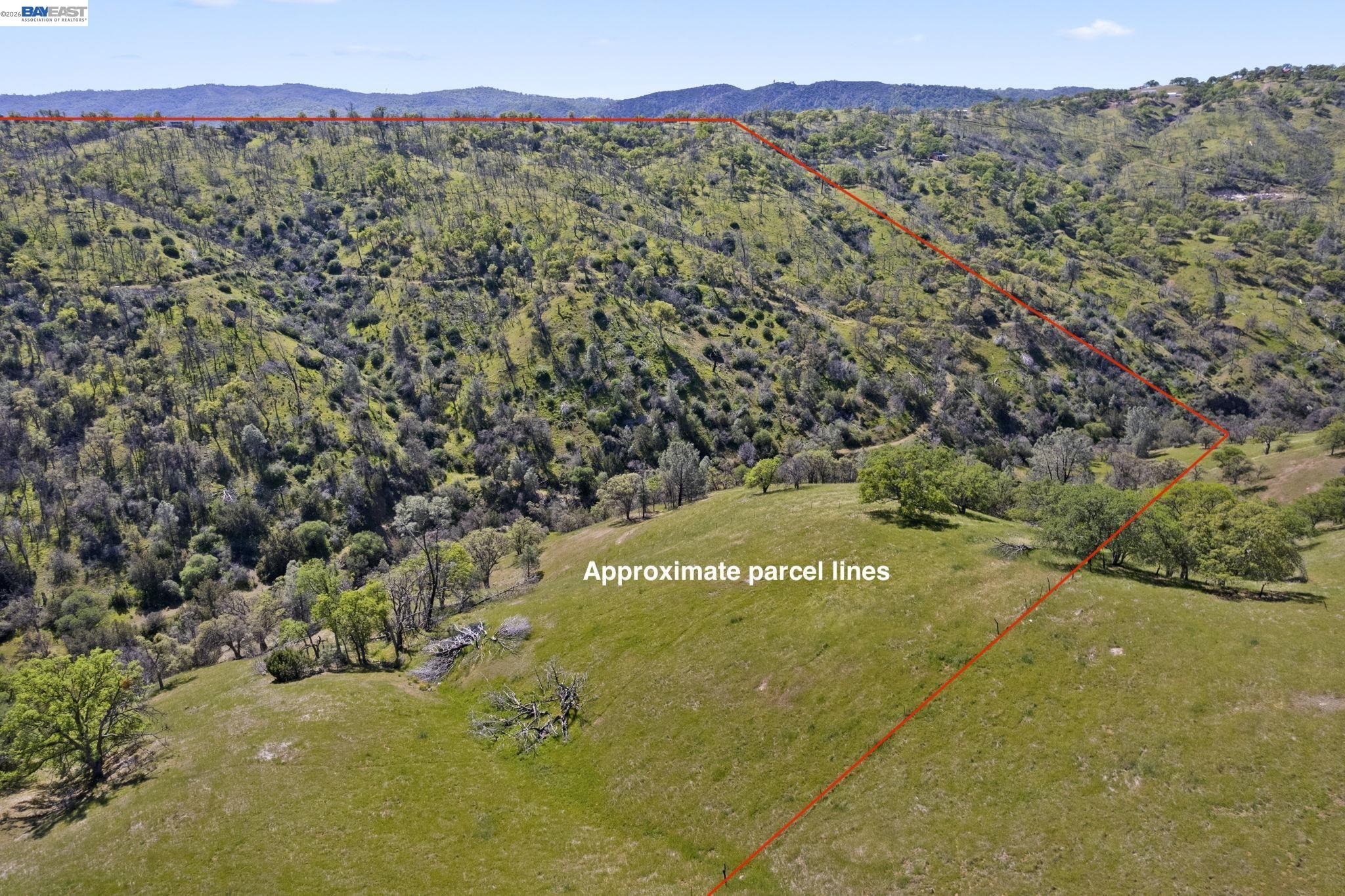 18188 West Corral Hollow Road Tracy, CA 95377 - Photo 37 of 58 a view of a field with a tree