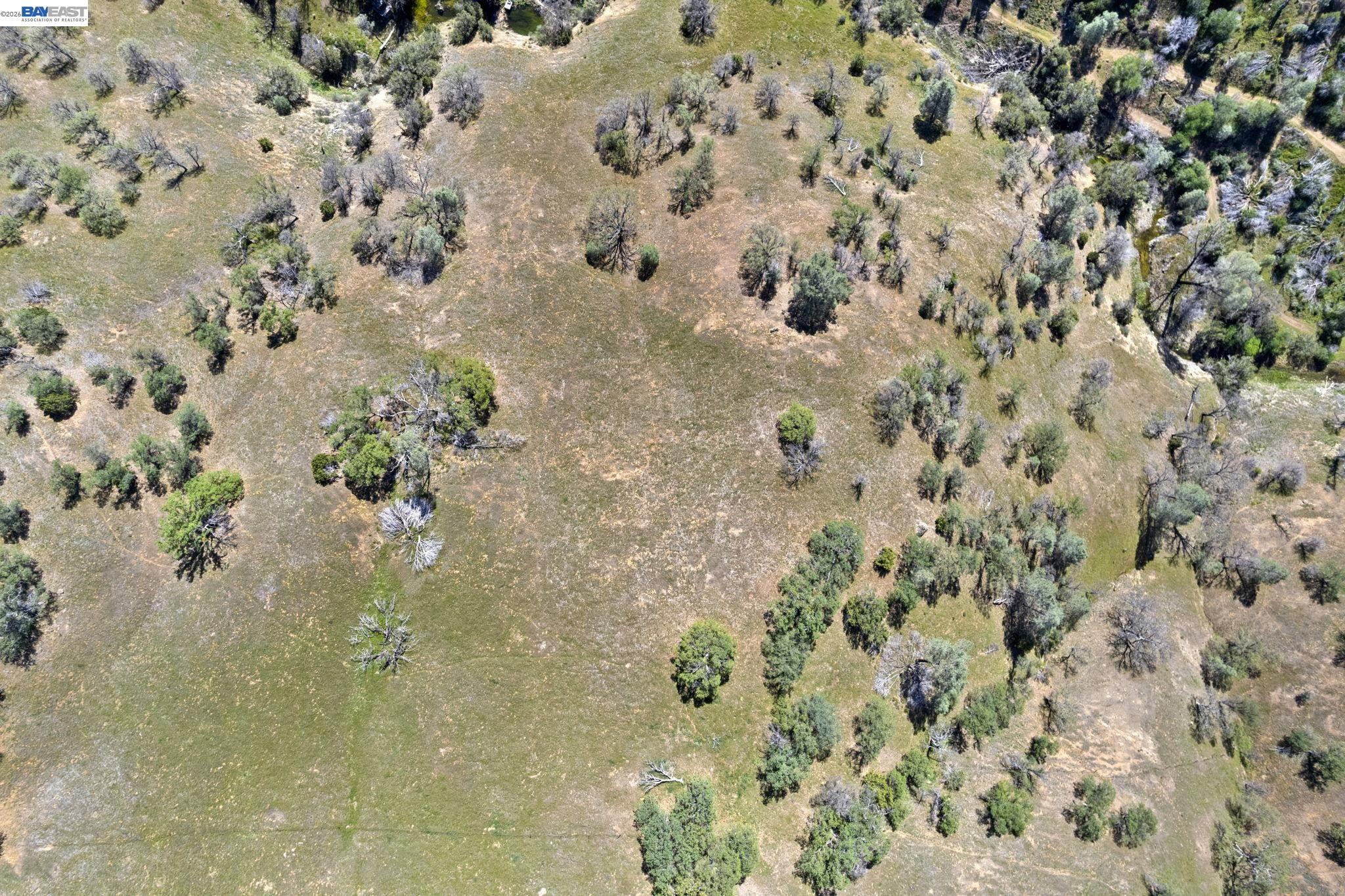 18188 West Corral Hollow Road Tracy, CA 95377 - Photo 45 of 58