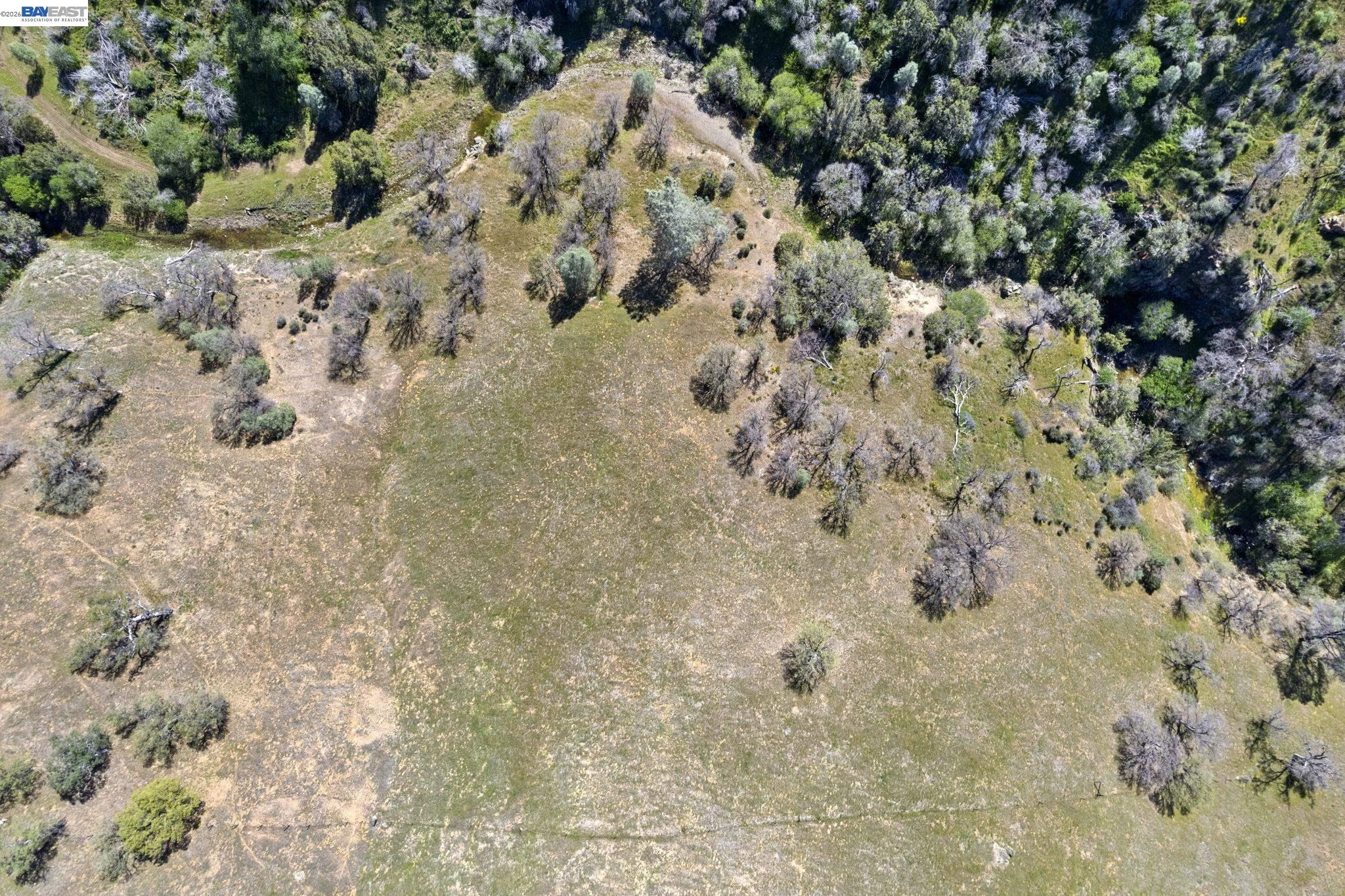 18188 West Corral Hollow Road Tracy, CA 95377 - Photo 47 of 58 a view of a yard with snow on the road