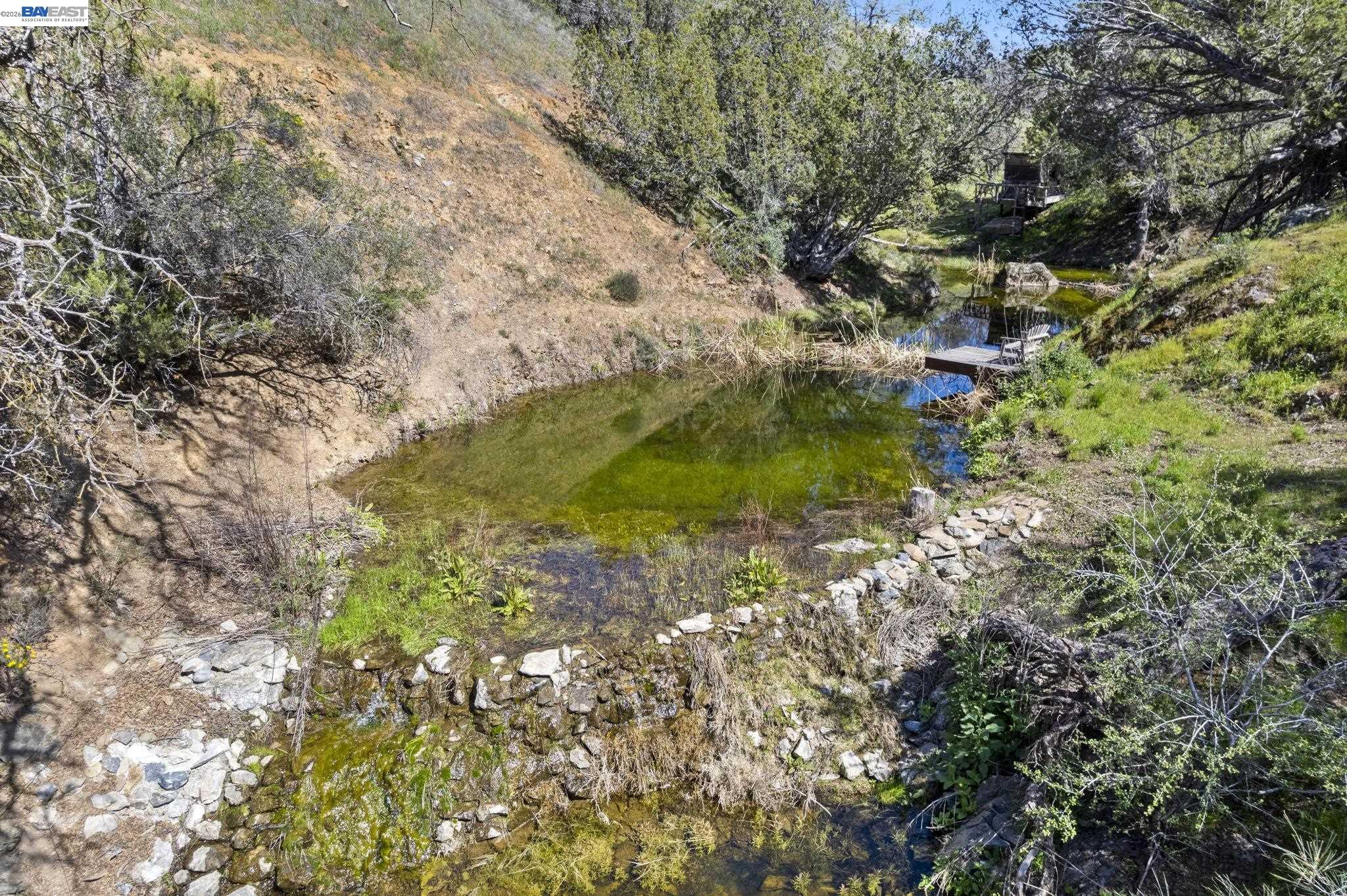 18188 West Corral Hollow Road Tracy, CA 95377 - Photo 54 of 58 a backyard of a house with lots of green space