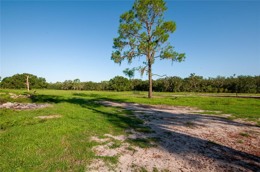 415 Bronco Road Zolfo Springs, FL 33890 - Photo 21 of 23 Gallery Image 21