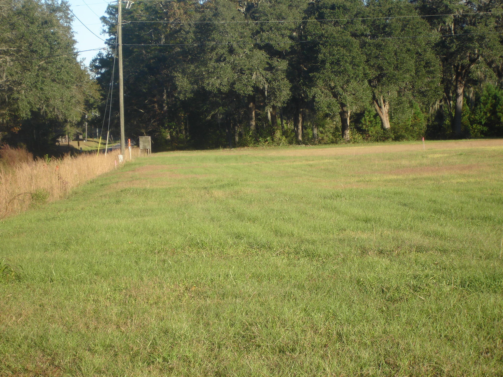 1 B Old Jacksonboro Road Ravenel, SC 29470 - Photo 1 of 6 Old Jacksonboro 1 ac. Terrell (4)