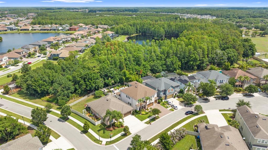 3515 Lands End Way Lutz, FL 33548 - Photo 99 of 100