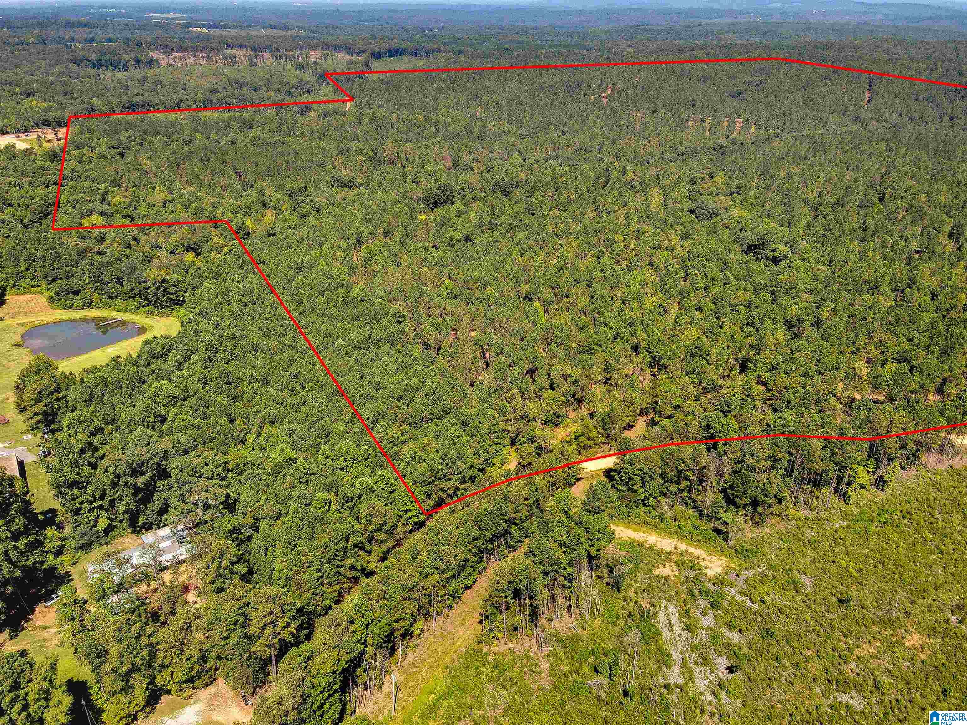 0 County Road 465, Unit 1 Clanton, AL 35045 - Photo 3 of 16