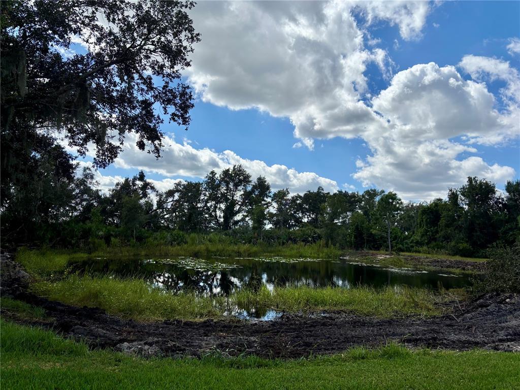 1950 Bern Creek Loop Sarasota, FL 34240 - Photo 55 of 60 a view of a lake with a yard and large trees