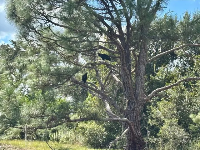 $6,500 | 1950 Bern Creek Loop, Sarasota, FL 34240