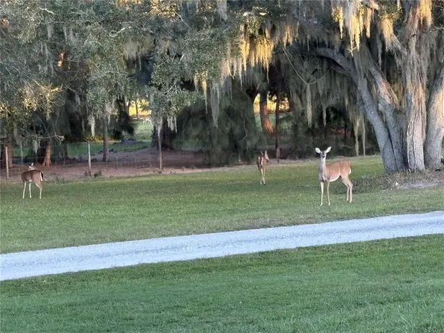 $6,500 | 1950 Bern Creek Loop, Sarasota, FL 34240