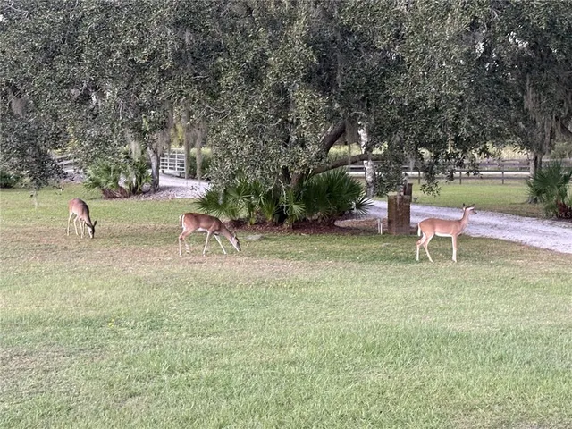 $6,500 | 1950 Bern Creek Loop, Sarasota, FL 34240