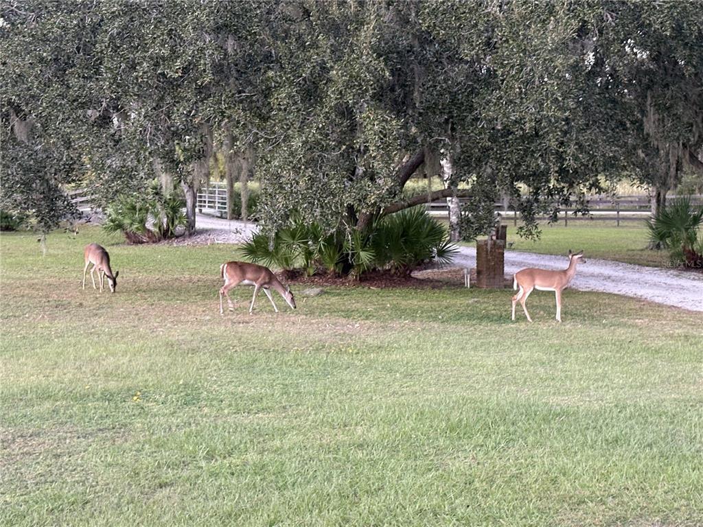 1950 Bern Creek Loop Sarasota, FL 34240 - Photo 60 of 60 a swimming pool with outdoor seating and yard