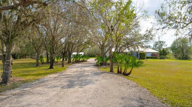 a view of a yard with plants and trees